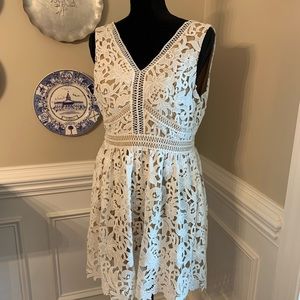 Cream lace dress with defined waist. Size 12 petite New Look brand.